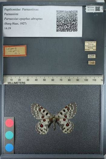 Media type: image;   Entomology 174744